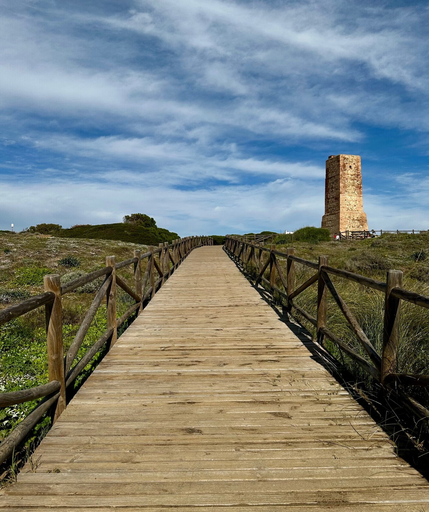 DUNAS DE ARTOLA2